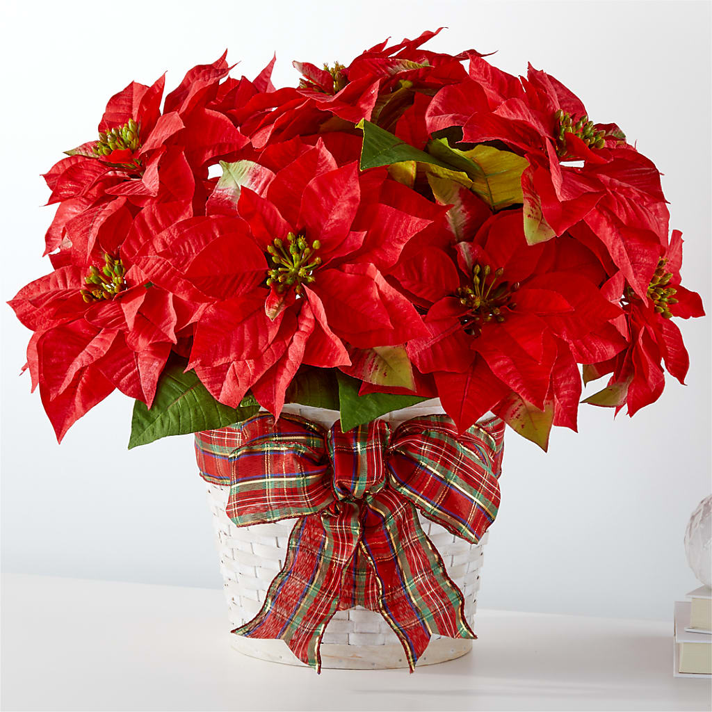 Happiest Holidays Poinsettia – PIERSON'S FLOWER SHOP & GREENHOUSES INC, Cedar Rapids IA