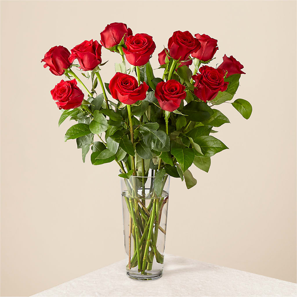 Long Stem Red Rose Bouquet – PIERSON'S FLOWER SHOP & GREENHOUSES INC, Cedar Rapids IA