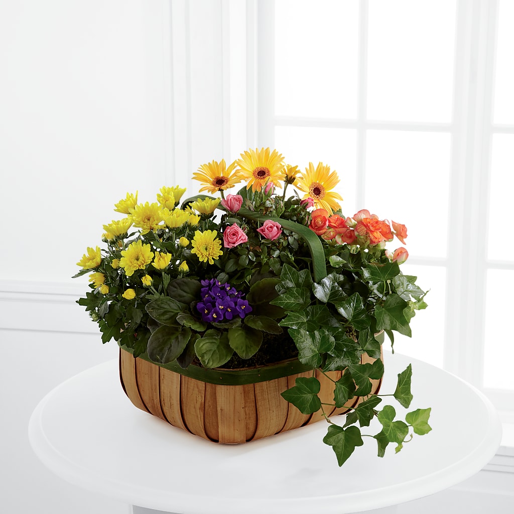 Gentle Blossoms Basket – PIERSON'S FLOWER SHOP & GREENHOUSES INC, Cedar Rapids IA