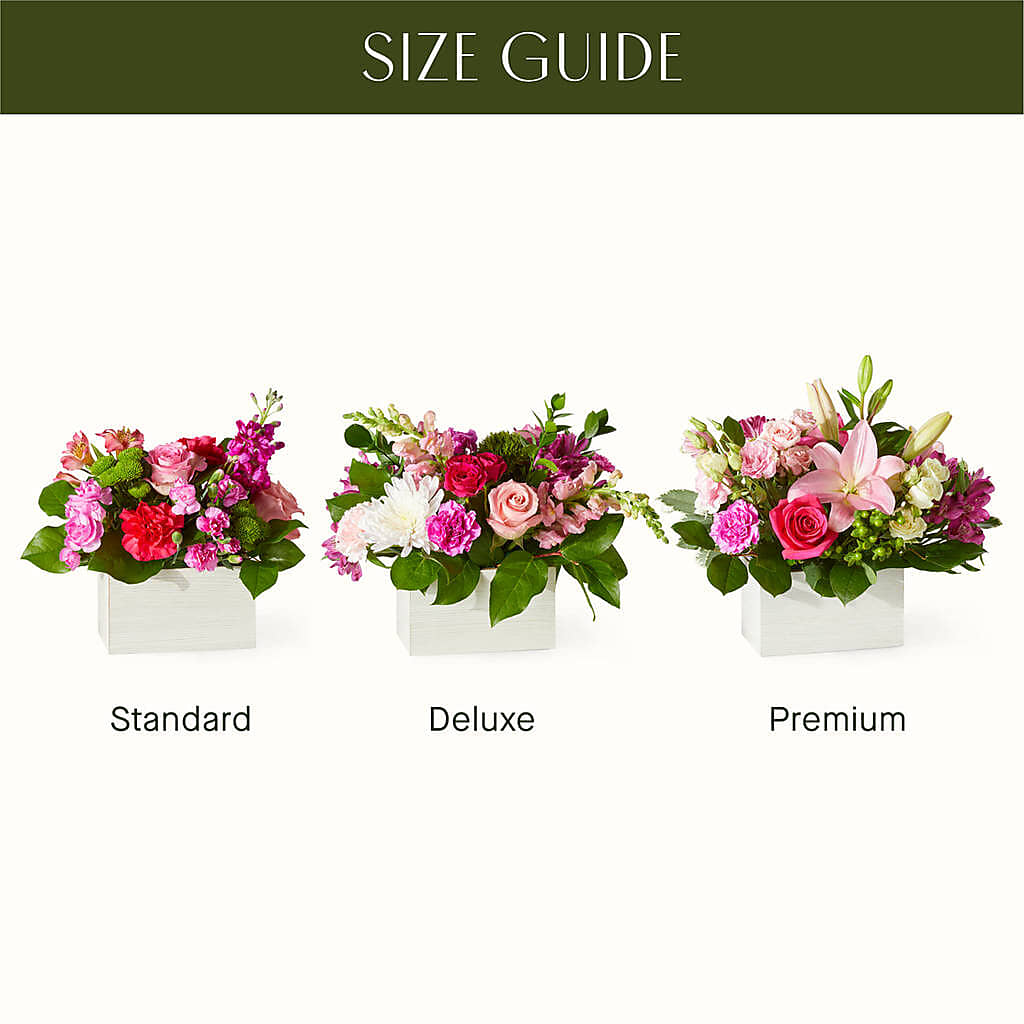 Sweetberry Box – A Florist Original – PIERSON'S FLOWER SHOP & GREENHOUSES INC, Cedar Rapids IA