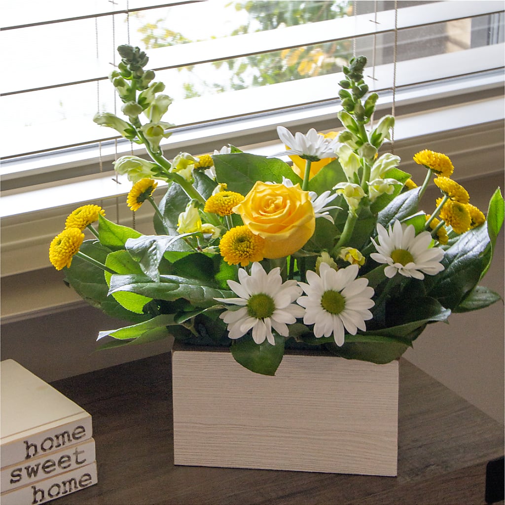 Sun Salutation Box Bouquet – PIERSON'S FLOWER SHOP & GREENHOUSES INC, Cedar Rapids IA