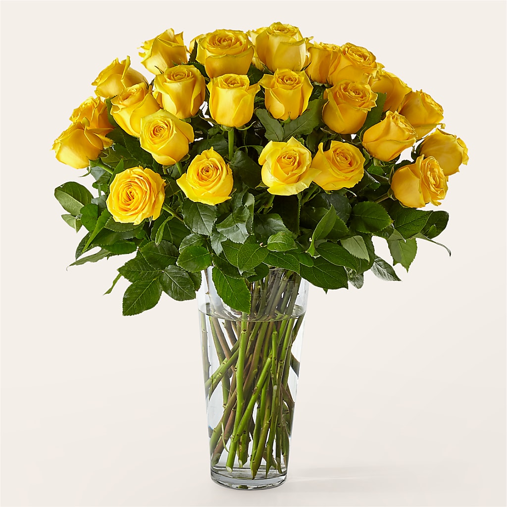 Long Stem Yellow Rose Bouquet – PIERSON'S FLOWER SHOP & GREENHOUSES INC, Cedar Rapids IA