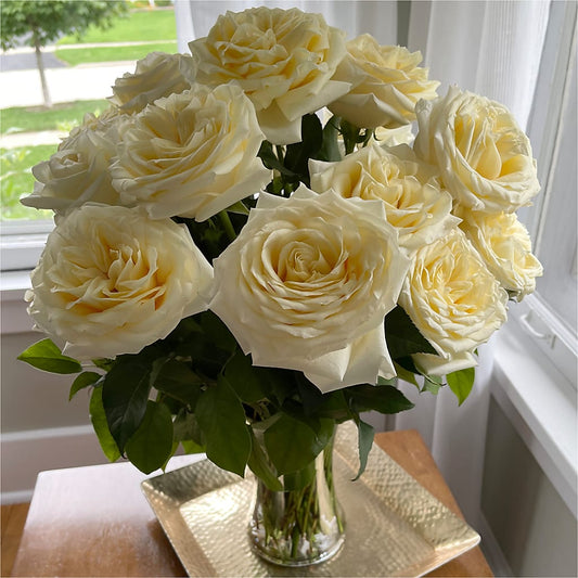 Long Stem Yellow Rose Bouquet – PIERSON'S FLOWER SHOP & GREENHOUSES INC, Cedar Rapids IA