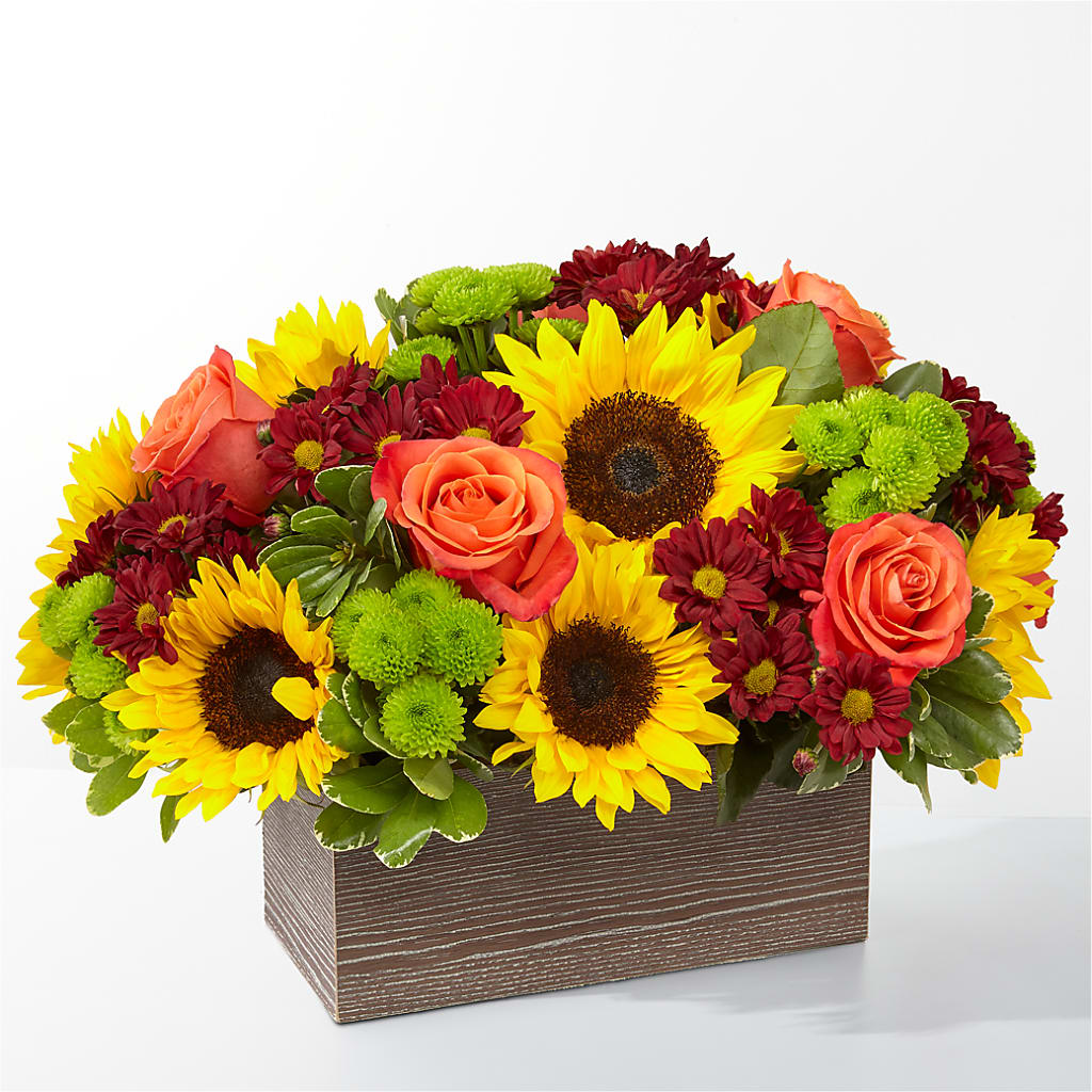 Happy Harvest Garden – PIERSON'S FLOWER SHOP & GREENHOUSES INC, Cedar Rapids IA