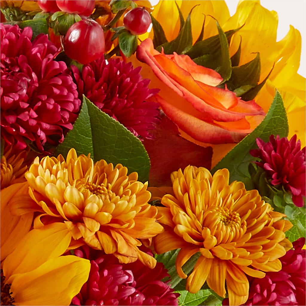 Sweater Season - A Florist Original – PIERSON'S FLOWER SHOP & GREENHOUSES INC, Cedar Rapids IA