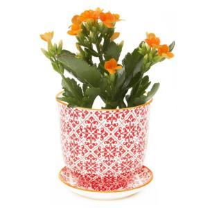 Liberte Pot – PIERSON'S FLOWER SHOP & GREENHOUSES INC, Cedar Rapids IA