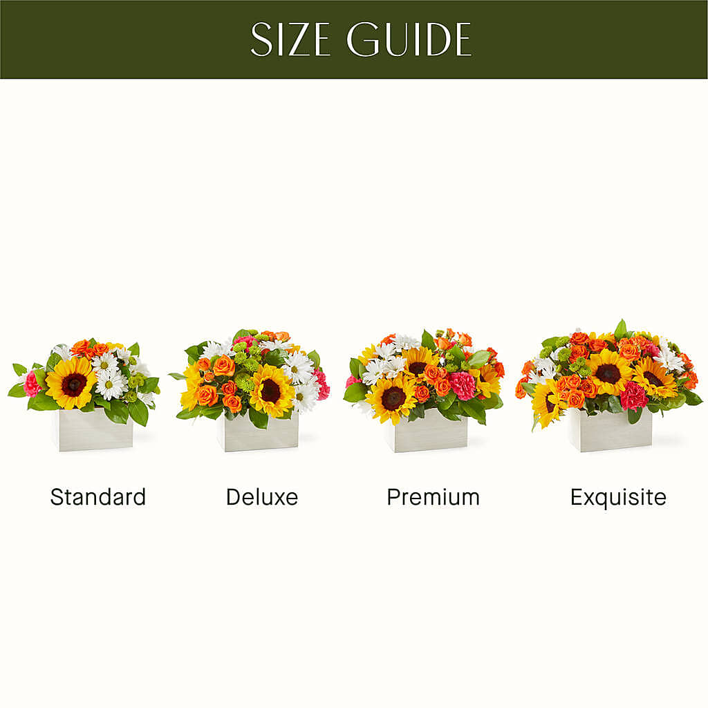 Sun-drenched Blooms Box Bouquet – PIERSON'S FLOWER SHOP & GREENHOUSES INC, Cedar Rapids IA
