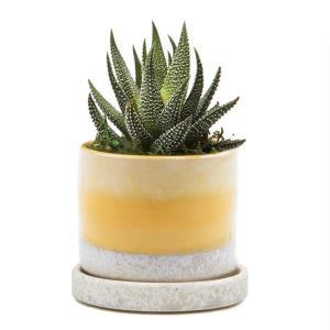 Minute Pot And Saucer – PIERSON'S FLOWER SHOP & GREENHOUSES INC, Cedar Rapids IA