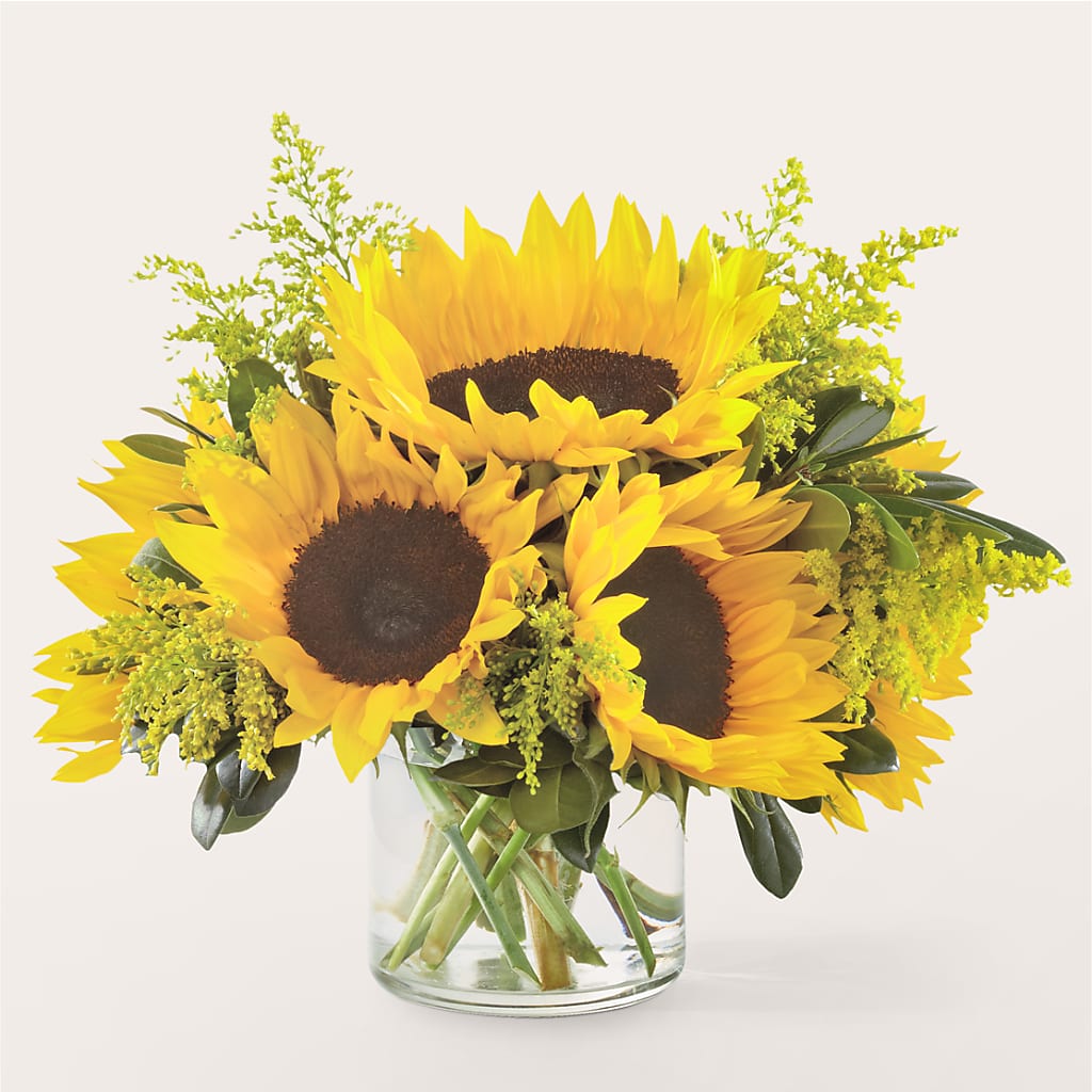 Beaming Sunflower Bouquet – PIERSON'S FLOWER SHOP & GREENHOUSES INC, Cedar Rapids IA