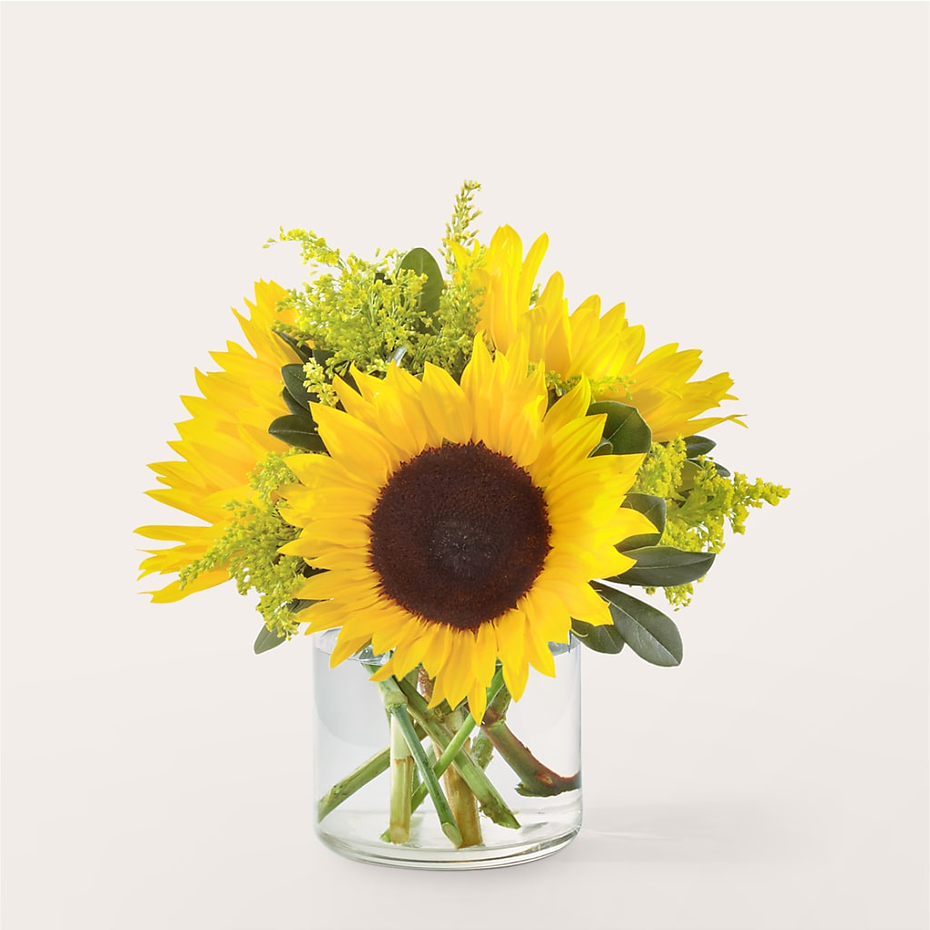 Beaming Sunflower Bouquet – PIERSON'S FLOWER SHOP & GREENHOUSES INC, Cedar Rapids IA