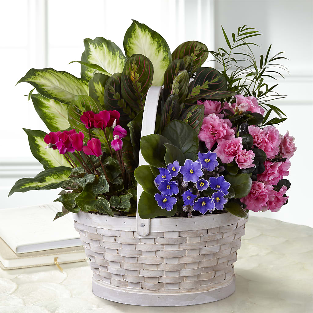 Peaceful Garden Planter – PIERSON'S FLOWER SHOP & GREENHOUSES INC, Cedar Rapids IA