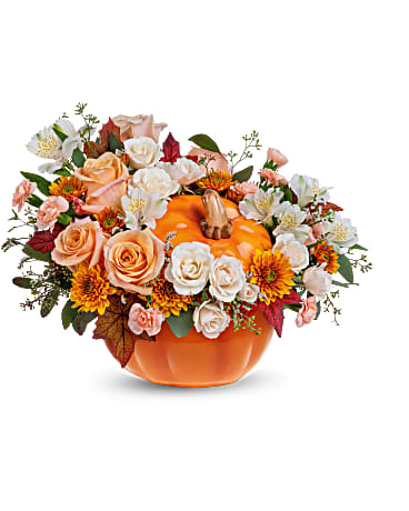 TEL Hello Pumpkin – PIERSON'S FLOWER SHOP & GREENHOUSES INC, Cedar Rapids IA