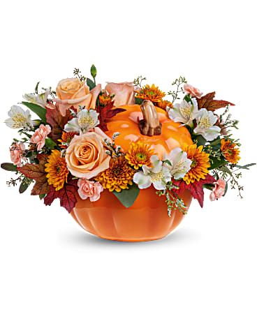 TEL Hello Pumpkin – PIERSON'S FLOWER SHOP & GREENHOUSES INC, Cedar Rapids IA