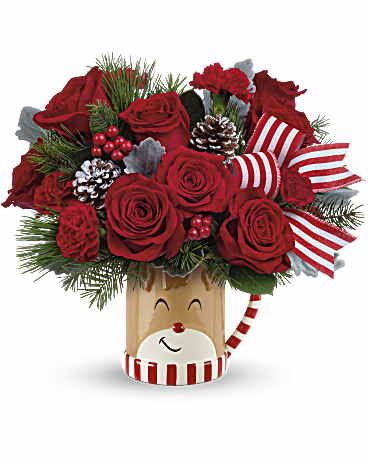 TEL SEND A HUG REINDEER WISH – PIERSON'S FLOWER SHOP & GREENHOUSES INC, Cedar Rapids IA