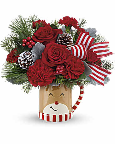 TEL SEND A HUG REINDEER WISH – PIERSON'S FLOWER SHOP & GREENHOUSES INC, Cedar Rapids IA