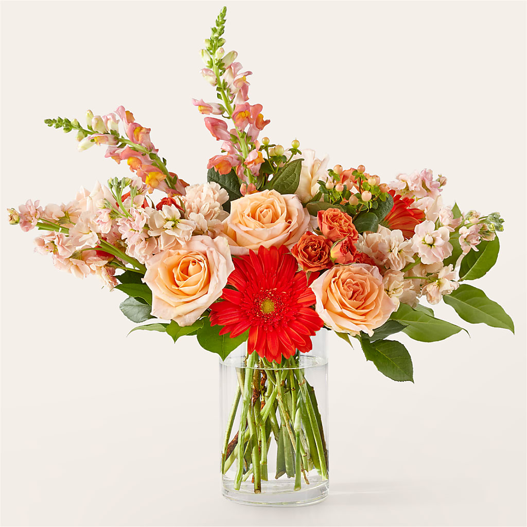 Paloma Please Bouquet – PIERSON'S FLOWER SHOP & GREENHOUSES INC, Cedar Rapids IA