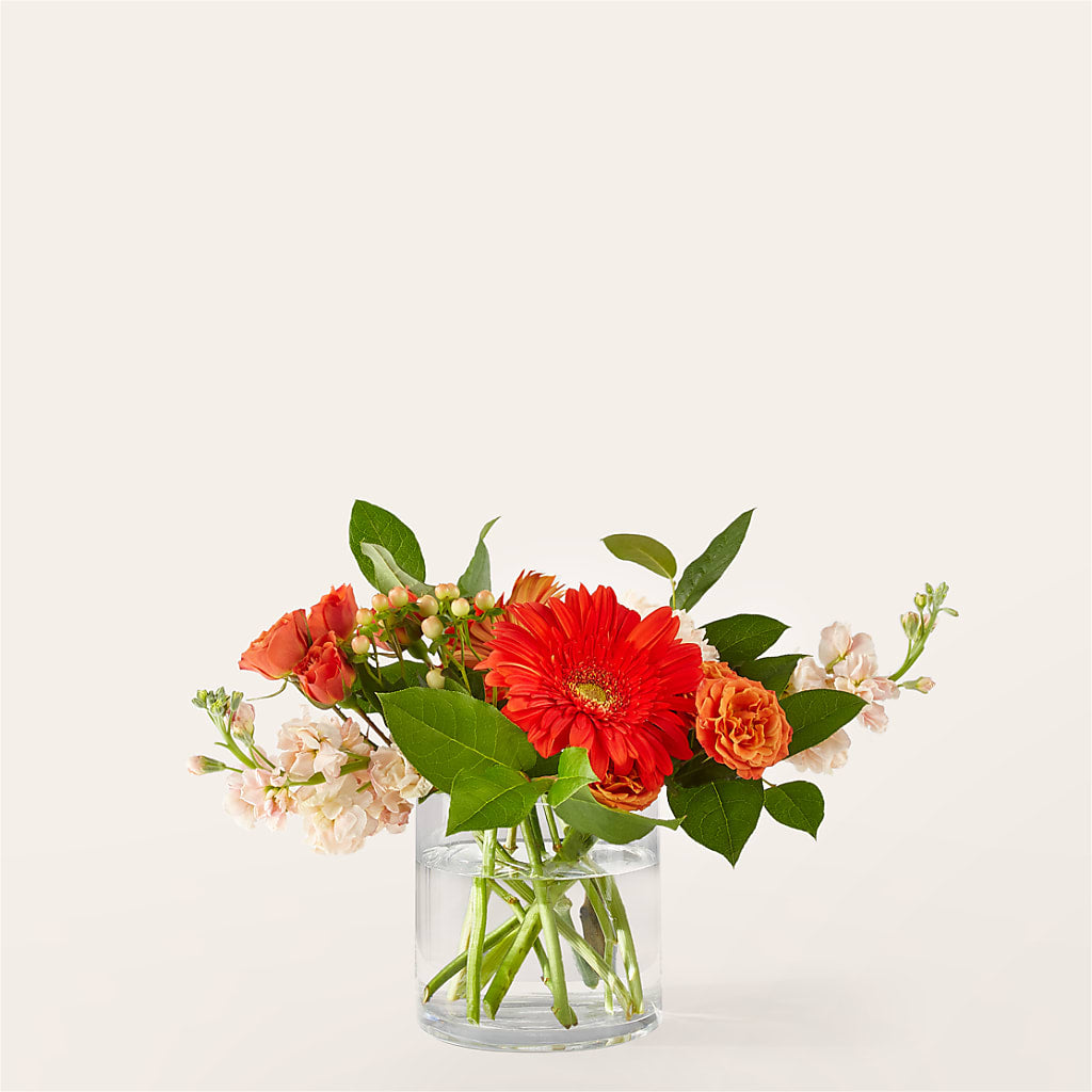 Paloma Please Bouquet – PIERSON'S FLOWER SHOP & GREENHOUSES INC, Cedar Rapids IA