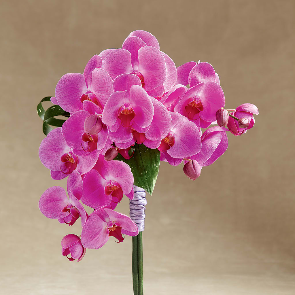 Glorious Bouquet – PIERSON'S FLOWER SHOP & GREENHOUSES INC, Cedar Rapids IA