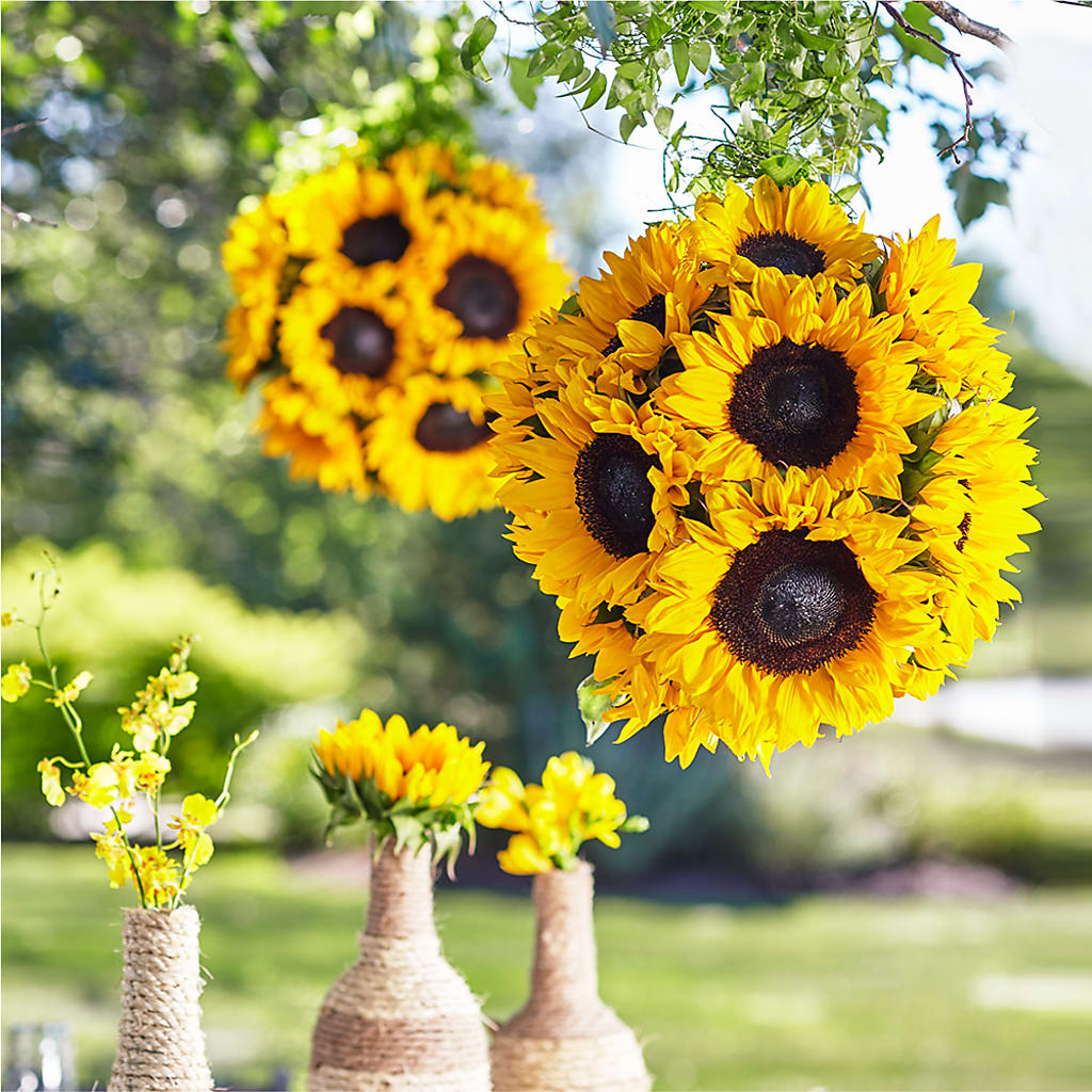 Sublime Garden Hanging Arrangement – PIERSON'S FLOWER SHOP & GREENHOUSES INC, Cedar Rapids IA