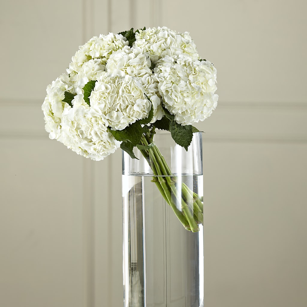 White Hydrangea Hand-Tied Bouquet – PIERSON'S FLOWER SHOP & GREENHOUSES INC, Cedar Rapids IA