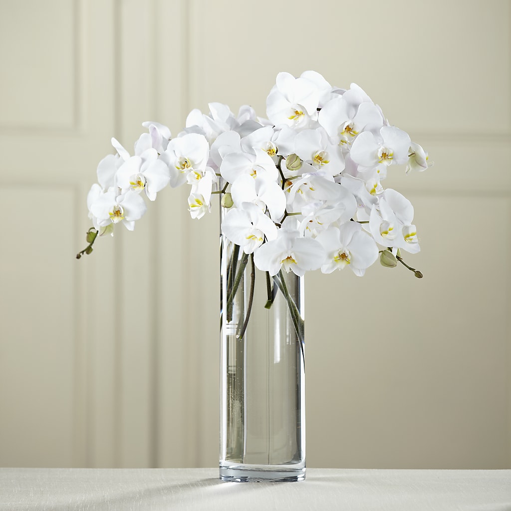 White Phalaenopsis Bouquet – PIERSON'S FLOWER SHOP & GREENHOUSES INC, Cedar Rapids IA