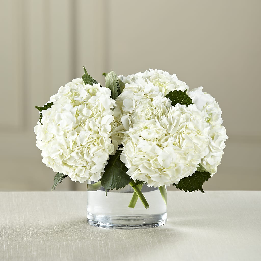White Hydrangea Bouquet – PIERSON'S FLOWER SHOP & GREENHOUSES INC, Cedar Rapids IA
