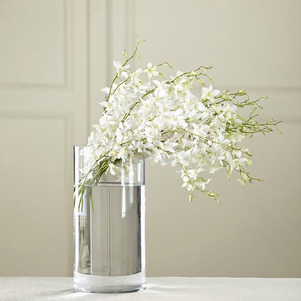 White Dendrobium Bouquet – PIERSON'S FLOWER SHOP & GREENHOUSES INC, Cedar Rapids IA