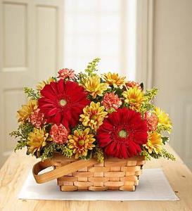 BLM Warm Welcome Basket – PIERSON'S FLOWER SHOP & GREENHOUSES INC, Cedar Rapids IA