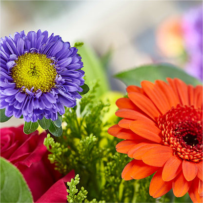 Bold & Bright – A Florist Original – PIERSON'S FLOWER SHOP & GREENHOUSES INC, Cedar Rapids IA