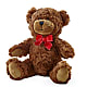 Adorable Plush Bear – PIERSON'S FLOWER SHOP & GREENHOUSES INC, Cedar Rapids IA