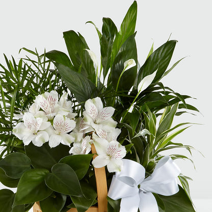 Peace & Serenity Dishgarden – PIERSON'S FLOWER SHOP & GREENHOUSES INC, Cedar Rapids IA