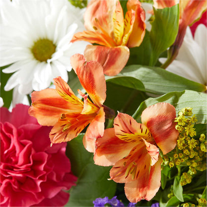 Oopsie Daisy Box Bouquet – PIERSON'S FLOWER SHOP & GREENHOUSES INC, Cedar Rapids IA