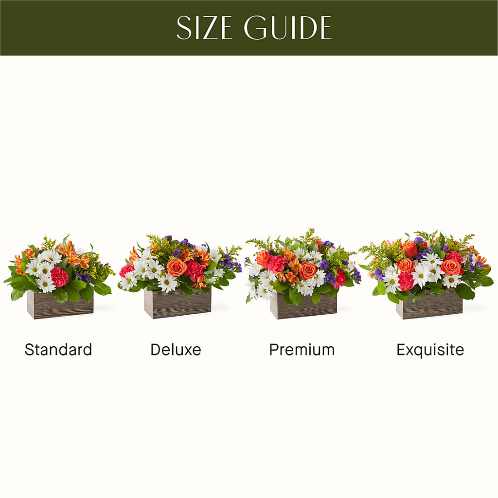 Oopsie Daisy Box Bouquet – PIERSON'S FLOWER SHOP & GREENHOUSES INC, Cedar Rapids IA