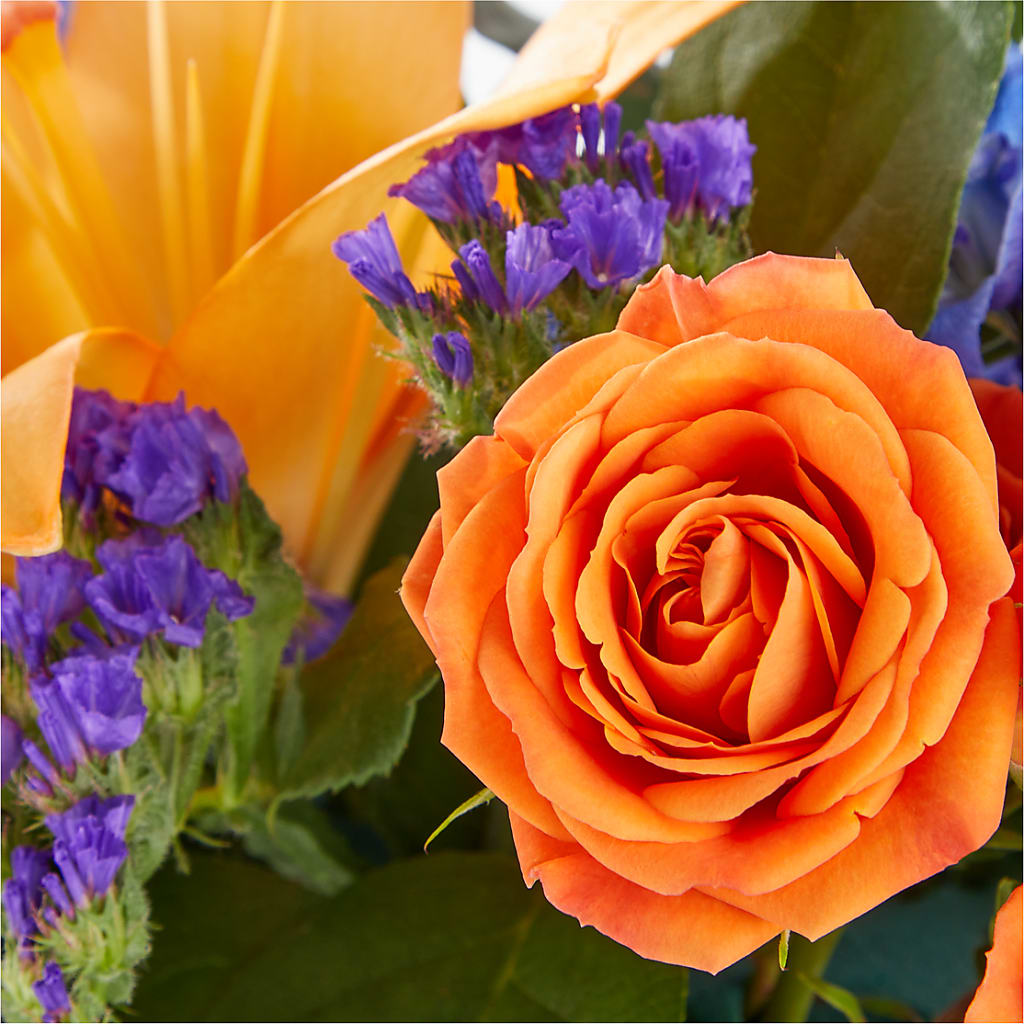 Radiant Citrus Box Bouquet – PIERSON'S FLOWER SHOP & GREENHOUSES INC, Cedar Rapids IA