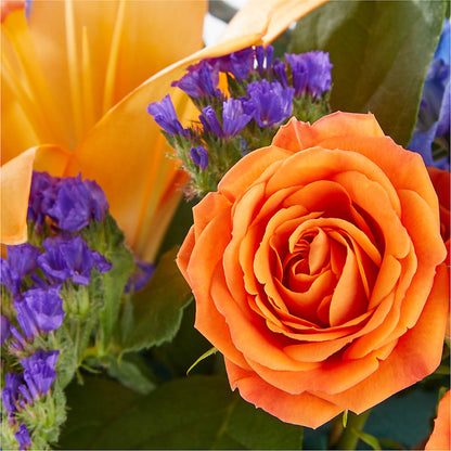 Radiant Citrus Box Bouquet – PIERSON'S FLOWER SHOP & GREENHOUSES INC, Cedar Rapids IA