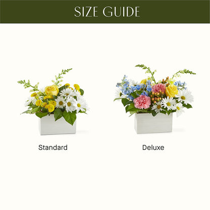 Sun Salutation Box Bouquet – PIERSON'S FLOWER SHOP & GREENHOUSES INC, Cedar Rapids IA