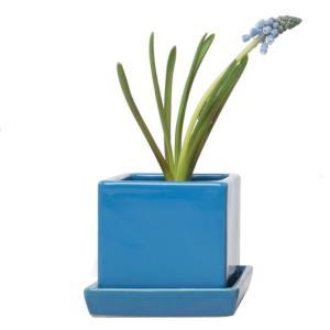 Cube and Saucer – PIERSON'S FLOWER SHOP & GREENHOUSES INC, Cedar Rapids IA