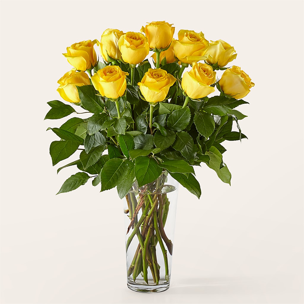 Long Stem Yellow Rose Bouquet – PIERSON'S FLOWER SHOP & GREENHOUSES INC, Cedar Rapids IA