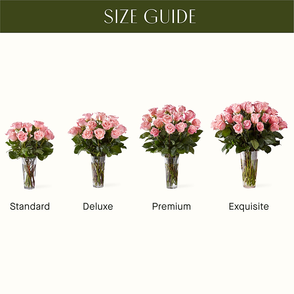 Long Stem Pink Rose Bouquet – PIERSON'S FLOWER SHOP & GREENHOUSES INC, Cedar Rapids IA