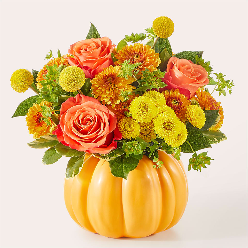 Gourdgeous Pumpkin – PIERSON'S FLOWER SHOP & GREENHOUSES INC, Cedar Rapids IA