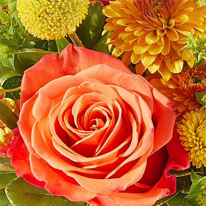 Gourdgeous Pumpkin – PIERSON'S FLOWER SHOP & GREENHOUSES INC, Cedar Rapids IA
