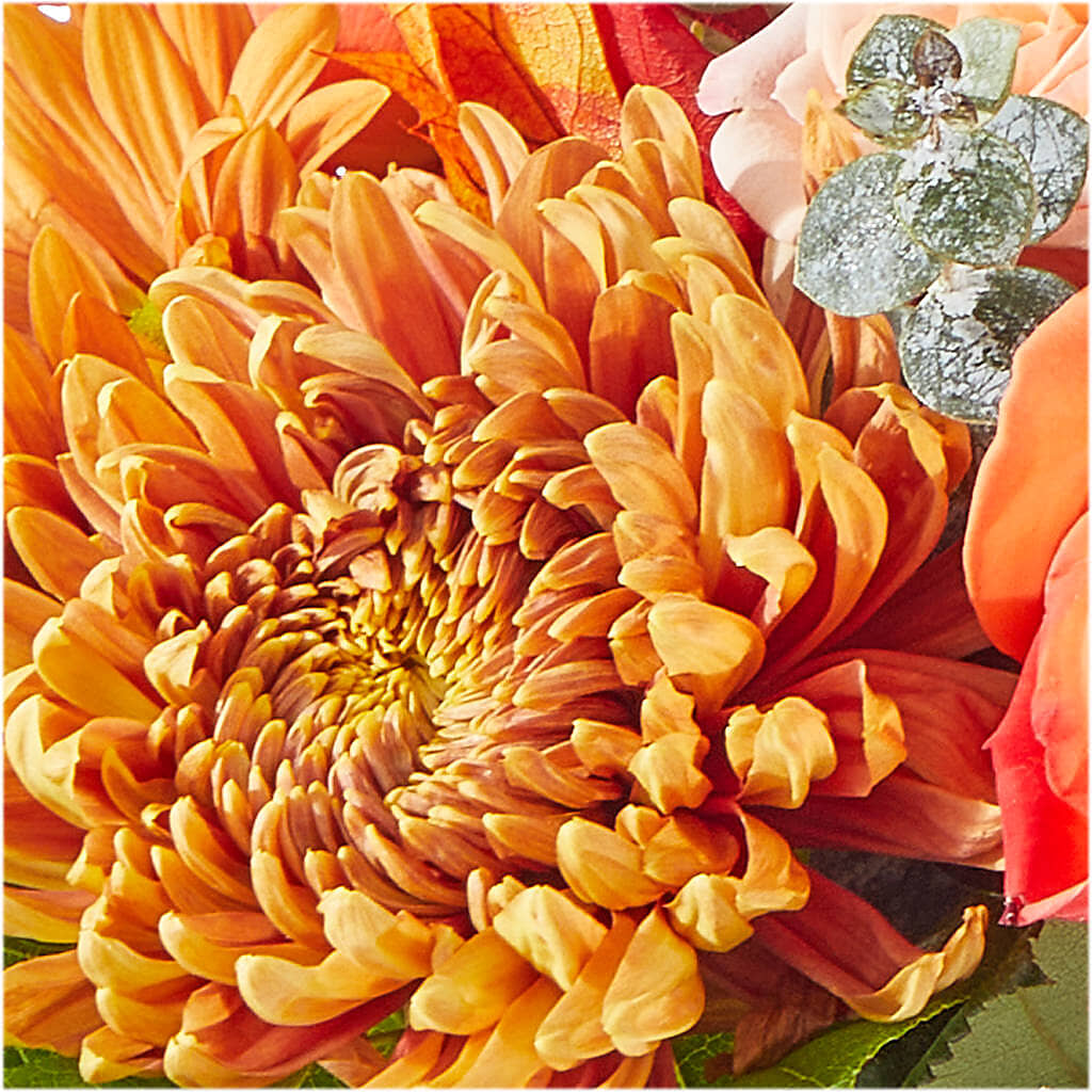 Scenic Route Bouquet – PIERSON'S FLOWER SHOP & GREENHOUSES INC, Cedar Rapids IA