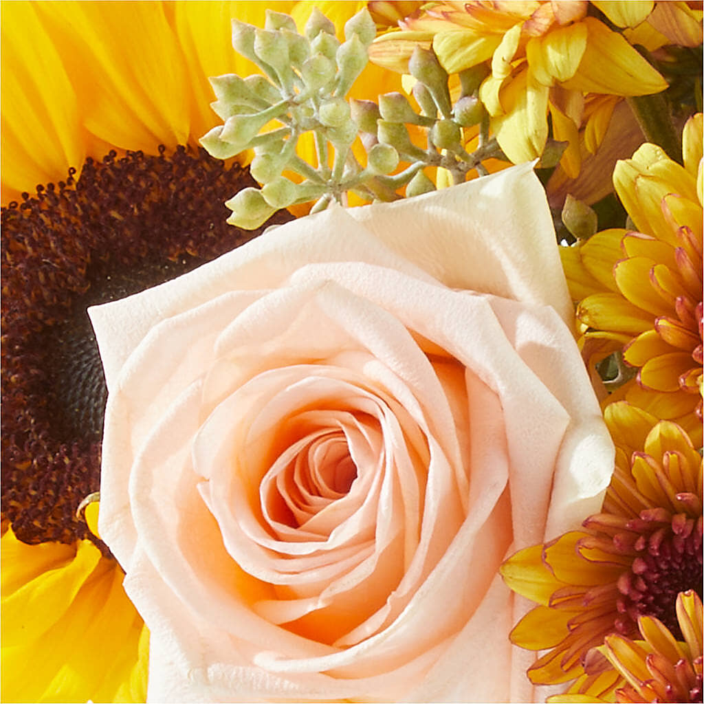 Pumpkin to Talk About Bouquet – PIERSON'S FLOWER SHOP & GREENHOUSES INC, Cedar Rapids IA