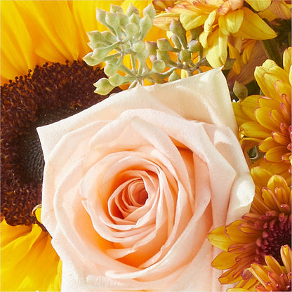 Pumpkin to Talk About Bouquet – PIERSON'S FLOWER SHOP & GREENHOUSES INC, Cedar Rapids IA
