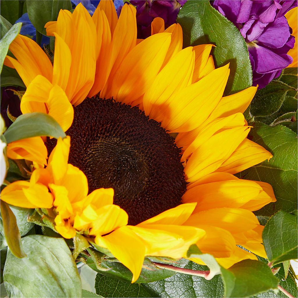 Catching Rays Bouquet – PIERSON'S FLOWER SHOP & GREENHOUSES INC, Cedar Rapids IA