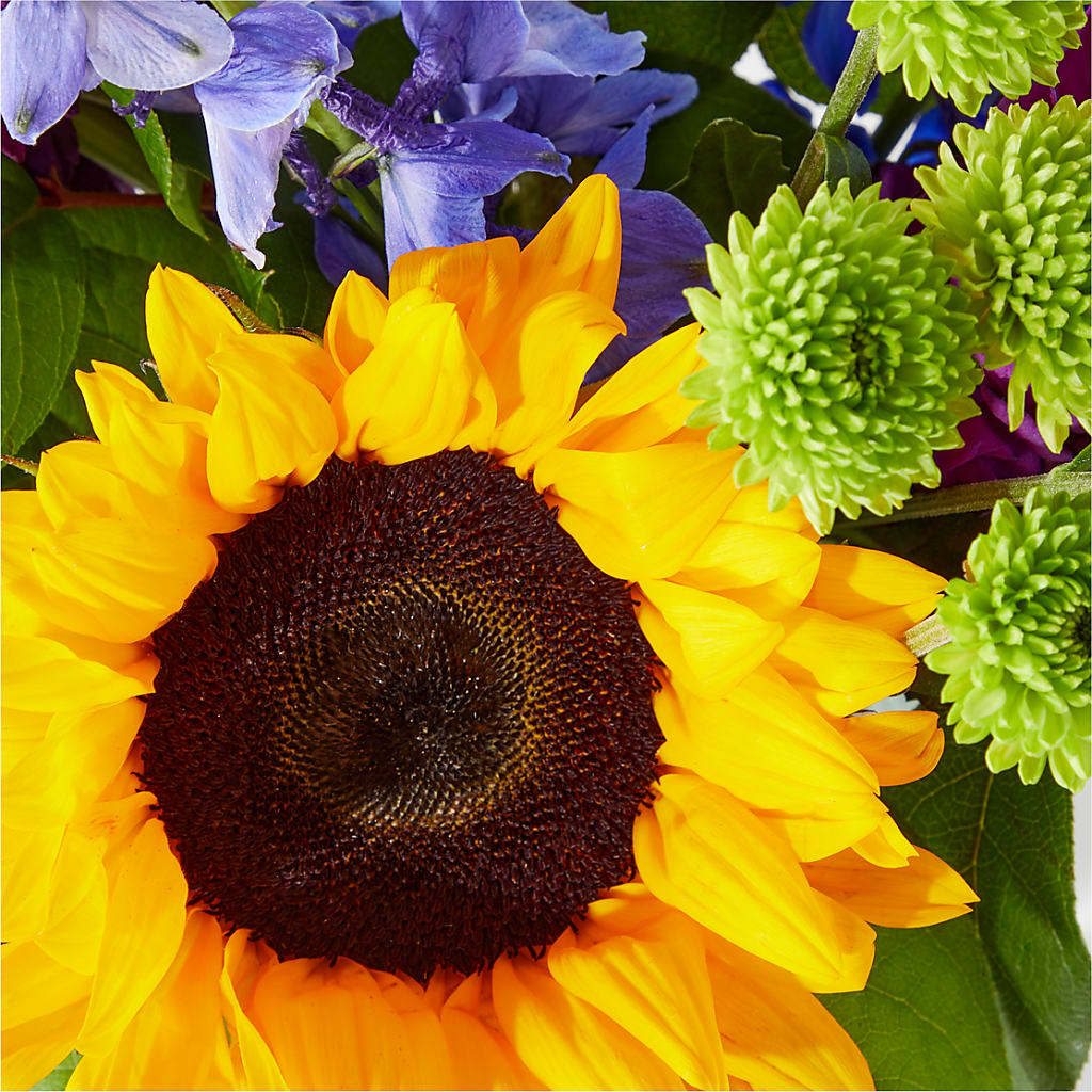 Catching Rays Bouquet – PIERSON'S FLOWER SHOP & GREENHOUSES INC, Cedar Rapids IA
