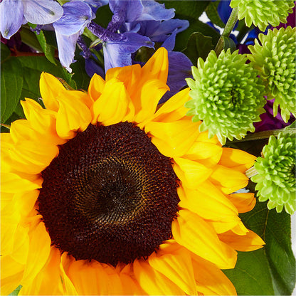 Catching Rays Bouquet – PIERSON'S FLOWER SHOP & GREENHOUSES INC, Cedar Rapids IA