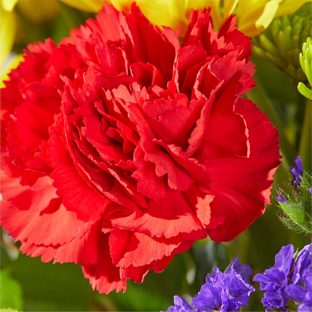 Brighter Days Bouquet – PIERSON'S FLOWER SHOP & GREENHOUSES INC, Cedar Rapids IA