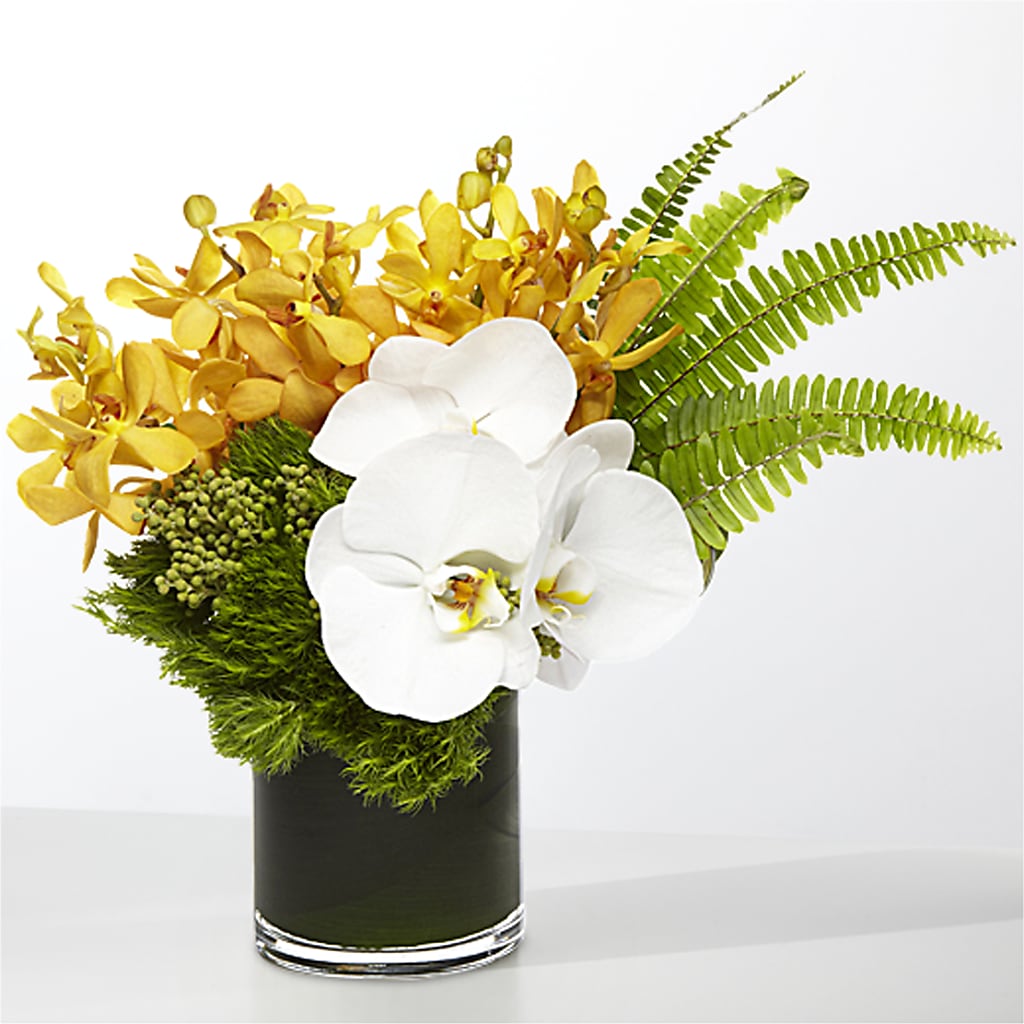 The Tropics – PIERSON'S FLOWER SHOP & GREENHOUSES INC, Cedar Rapids IA