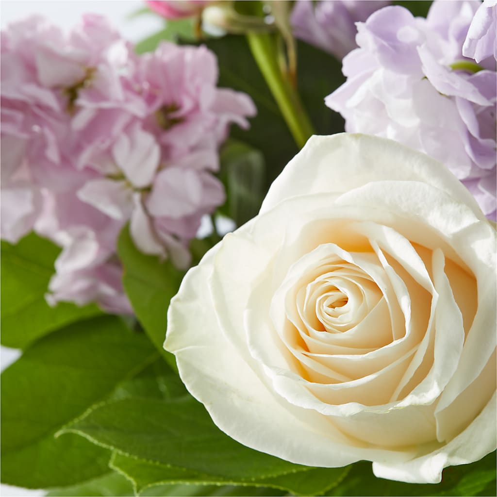 Springtime Spritz Bouquet – PIERSON'S FLOWER SHOP & GREENHOUSES INC, Cedar Rapids IA